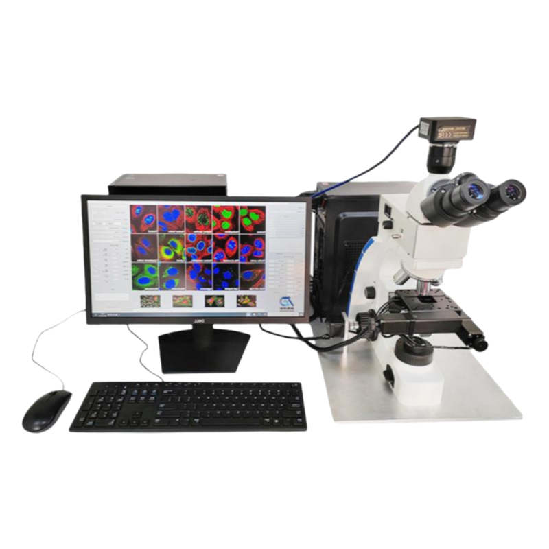 KY Brand Laboratory Semen Microscope - Export Quality Medical Testing Equipment in Stock