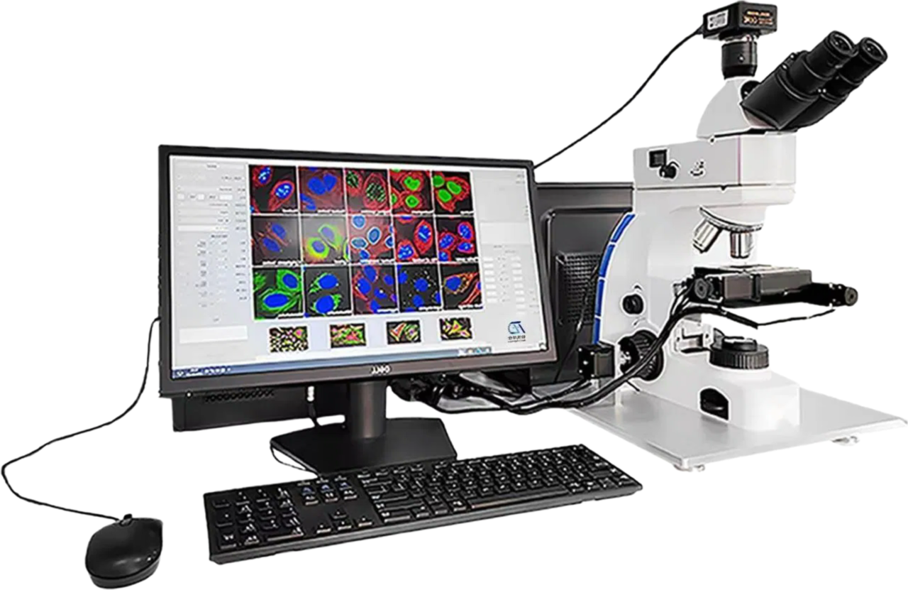KY Brand Laboratory Semen Microscope - Export Quality Medical Testing Equipment in Stock