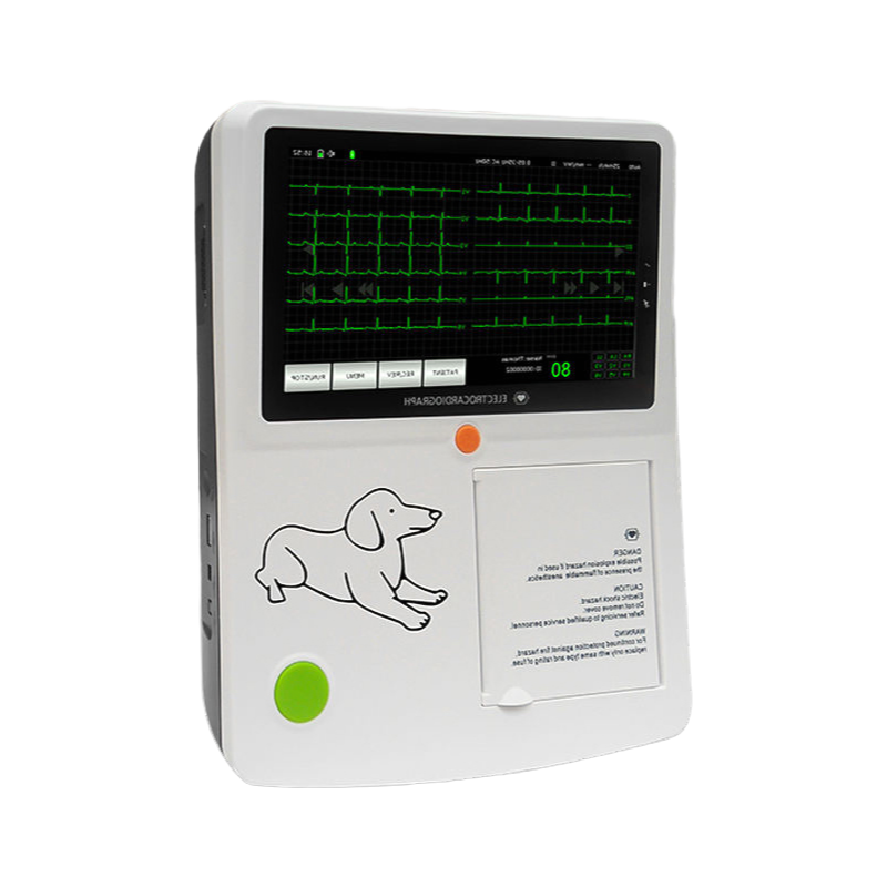 Affordable Animal ECG Monitor with Auto-Analysis and USB/SD Storage for Veterinary Clinics