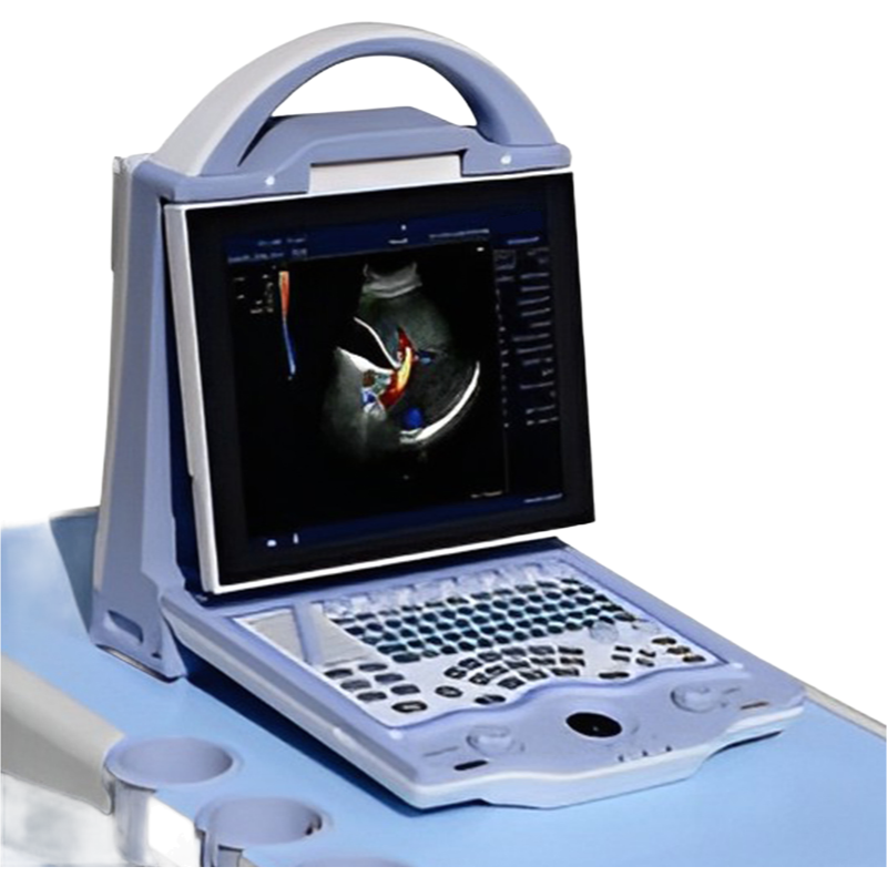 Medical Grade 3D 4D Ultrasound System with Gel Heating Cup and Touch Screen