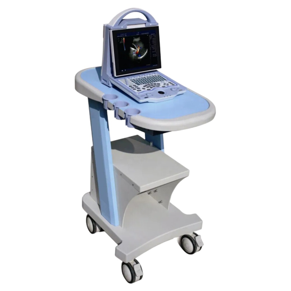 Medical Grade 3D 4D Ultrasound System with Gel Heating Cup and Touch Screen