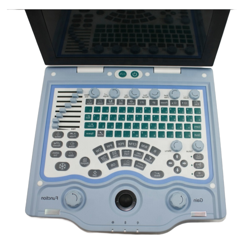 Medical Grade 3D 4D Ultrasound System with Gel Heating Cup and Touch Screen