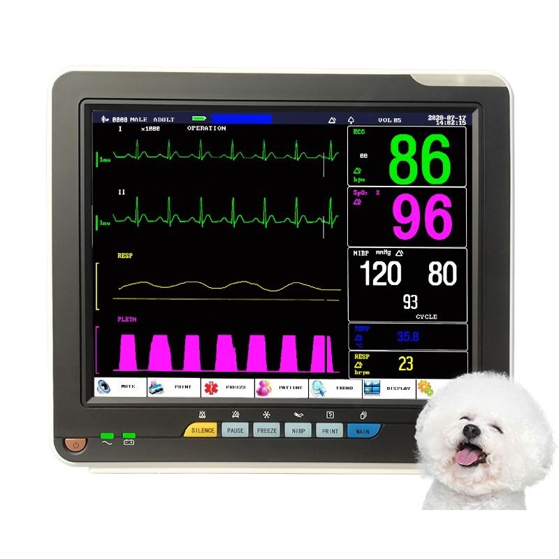Customizable Veterinary Health Monitor with Touchscreen and Built-in Rechargeable Battery