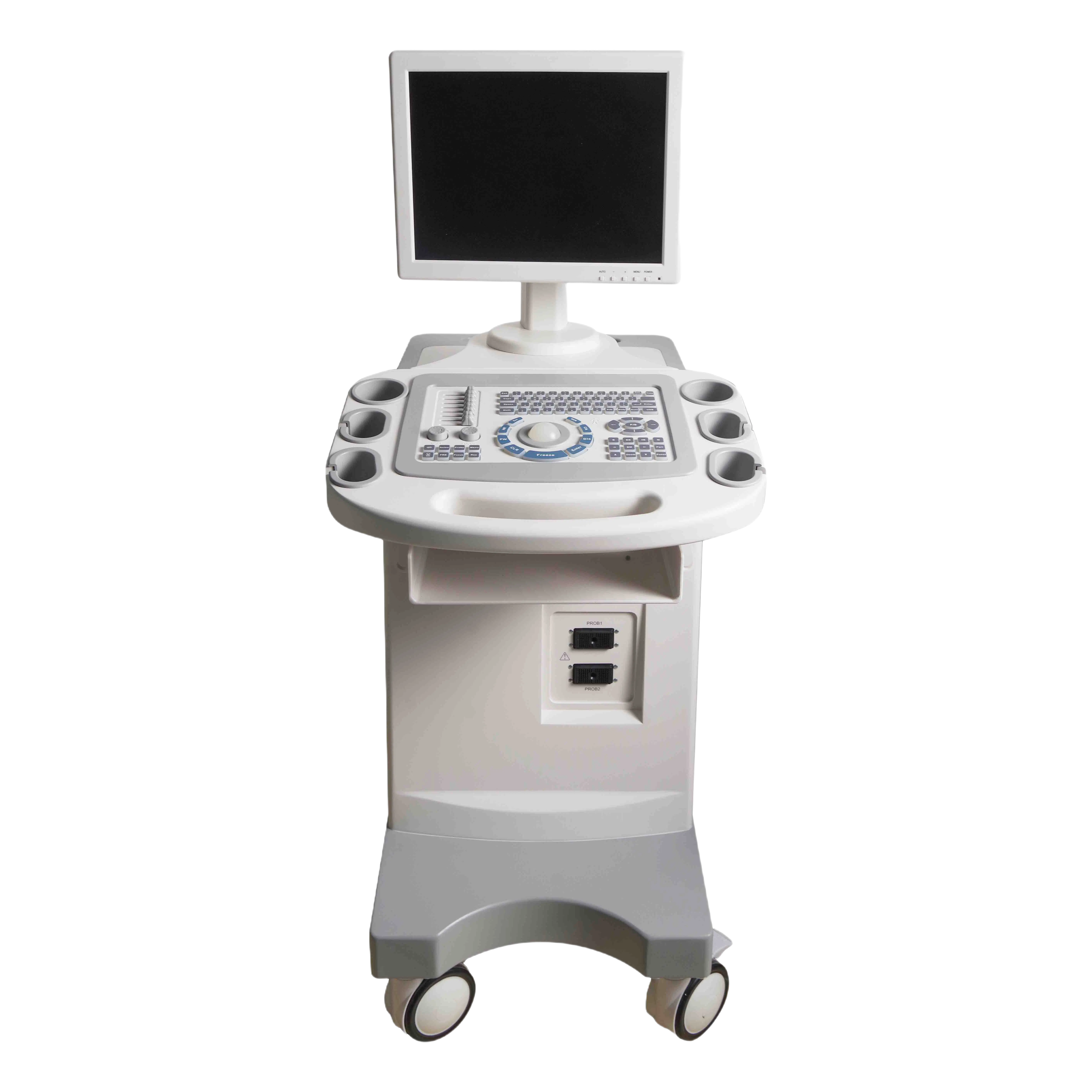 High-Frequency Ultrasound Scanner with 256 Gray Scale and Dynamic Range Adjustment