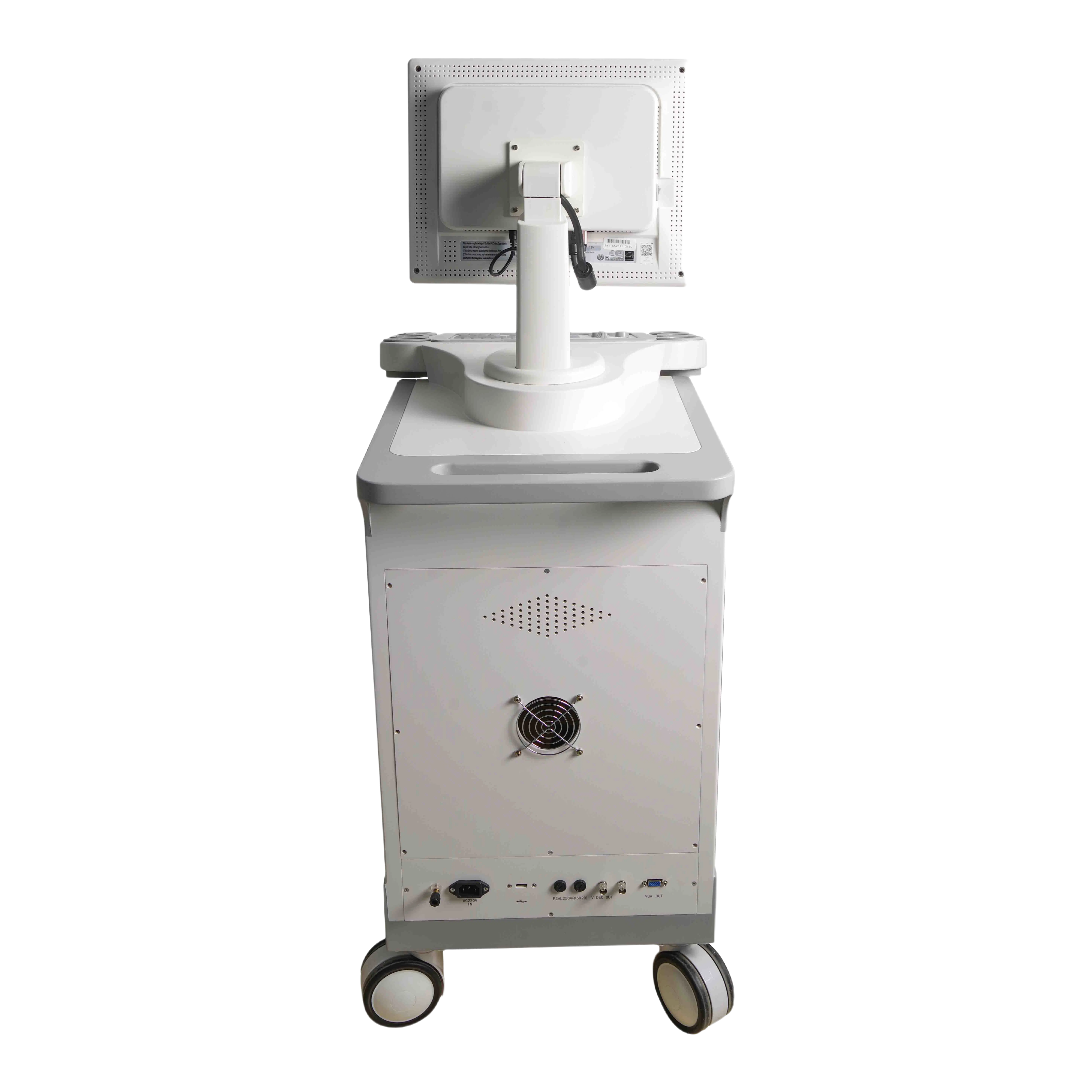 High-Frequency Ultrasound Scanner with 256 Gray Scale and Dynamic Range Adjustment