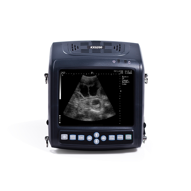 KX5200 Veterinary Ultrasound Scanner for Farm Animals - Pregnancy & Backfat Analysis