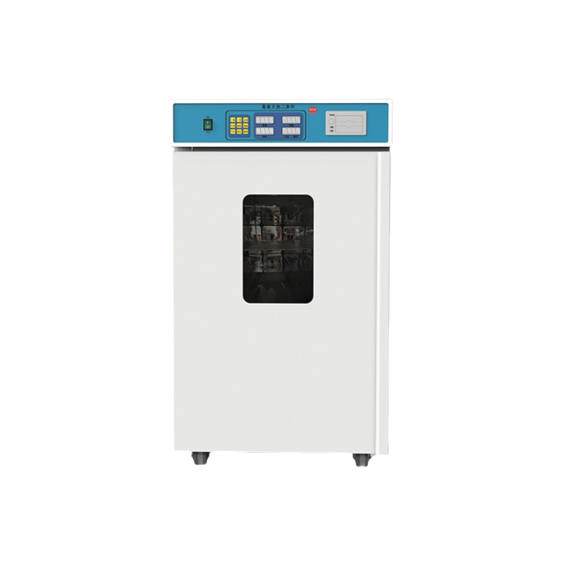 Medical Ethylene Oxide Gas Sterilizer HTY400L - Low Temperature Disinfection Equipment for Hospital Instruments