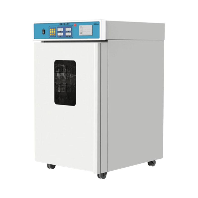 Automatic EO Gas Sterilizer Machine with CE FDA Certification for Medical Device Disinfection