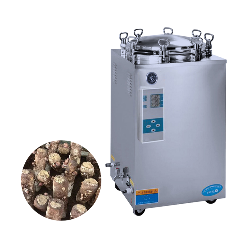 Vertical Pressure Steam Sterilizer - High Efficiency Autoclave for Medical Equipment Sterilization
