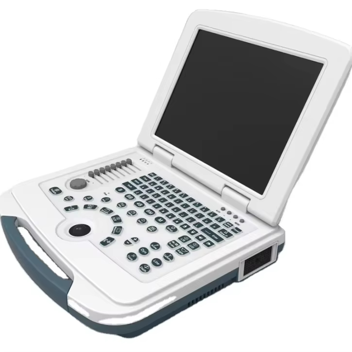 Customizable Portable Ultrasonic Diagnostic Device with B/M/2B/4B Imaging Modes