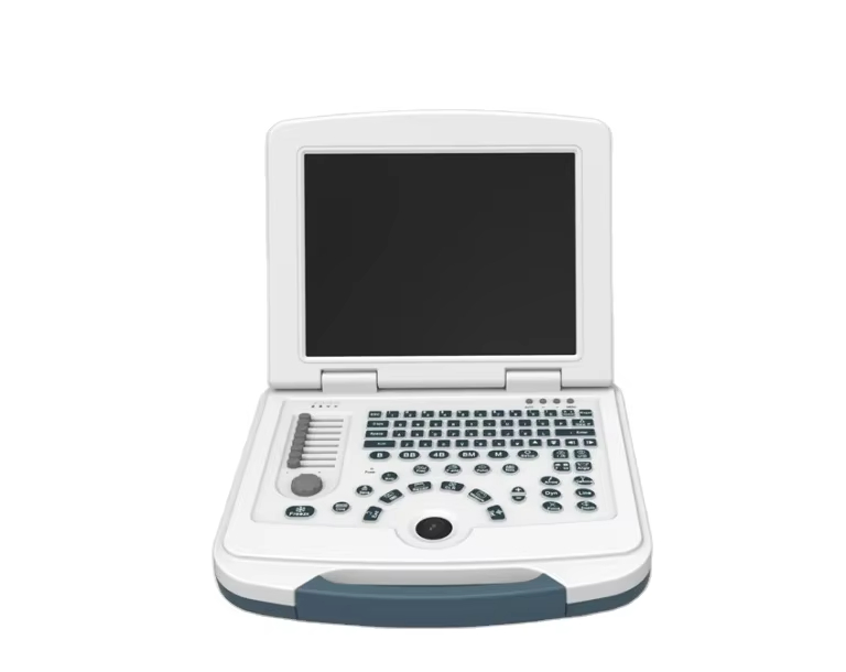 Customizable Portable Ultrasonic Diagnostic Device with B/M/2B/4B Imaging Modes