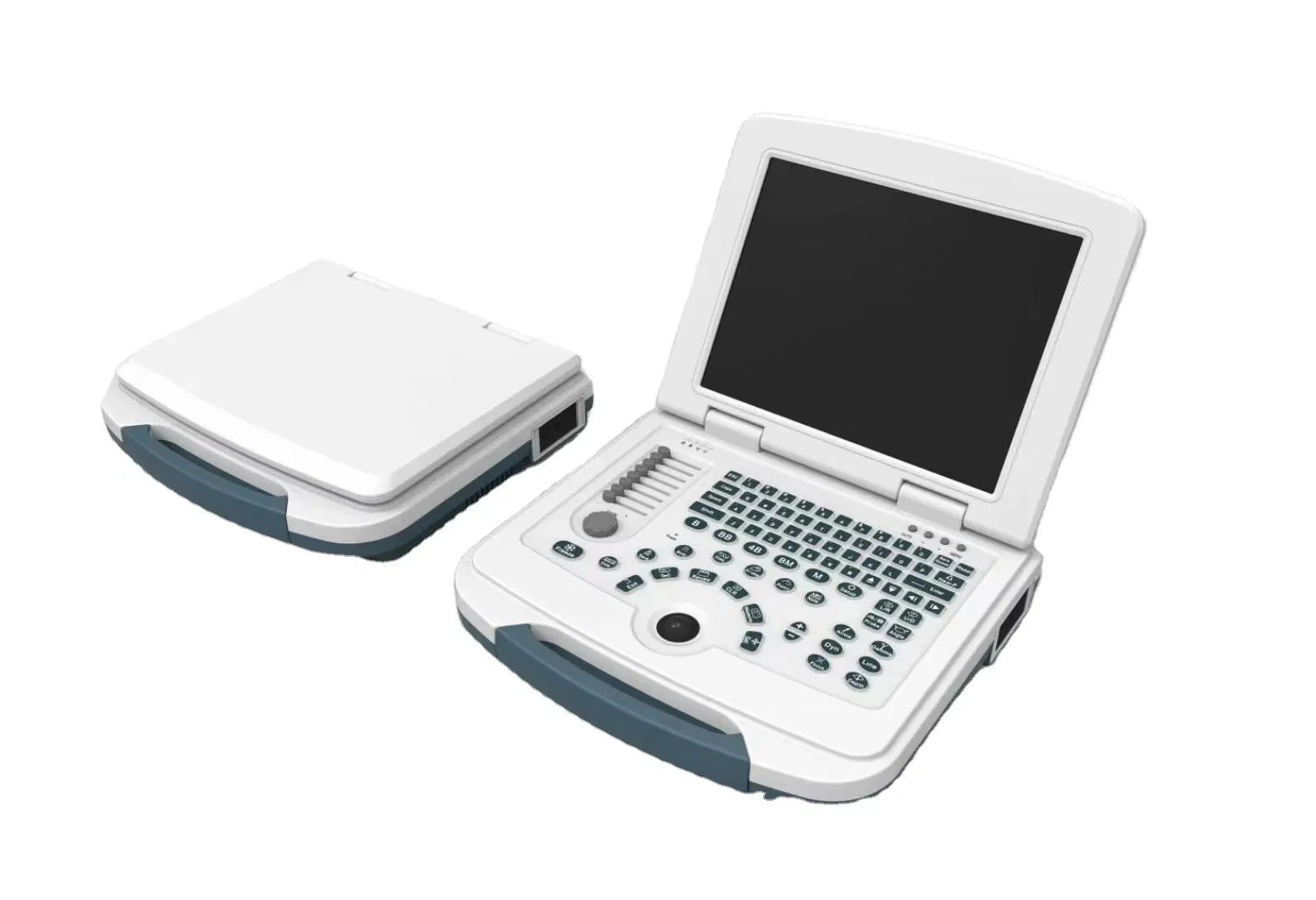 Customizable Portable Ultrasonic Diagnostic Device with B/M/2B/4B Imaging Modes