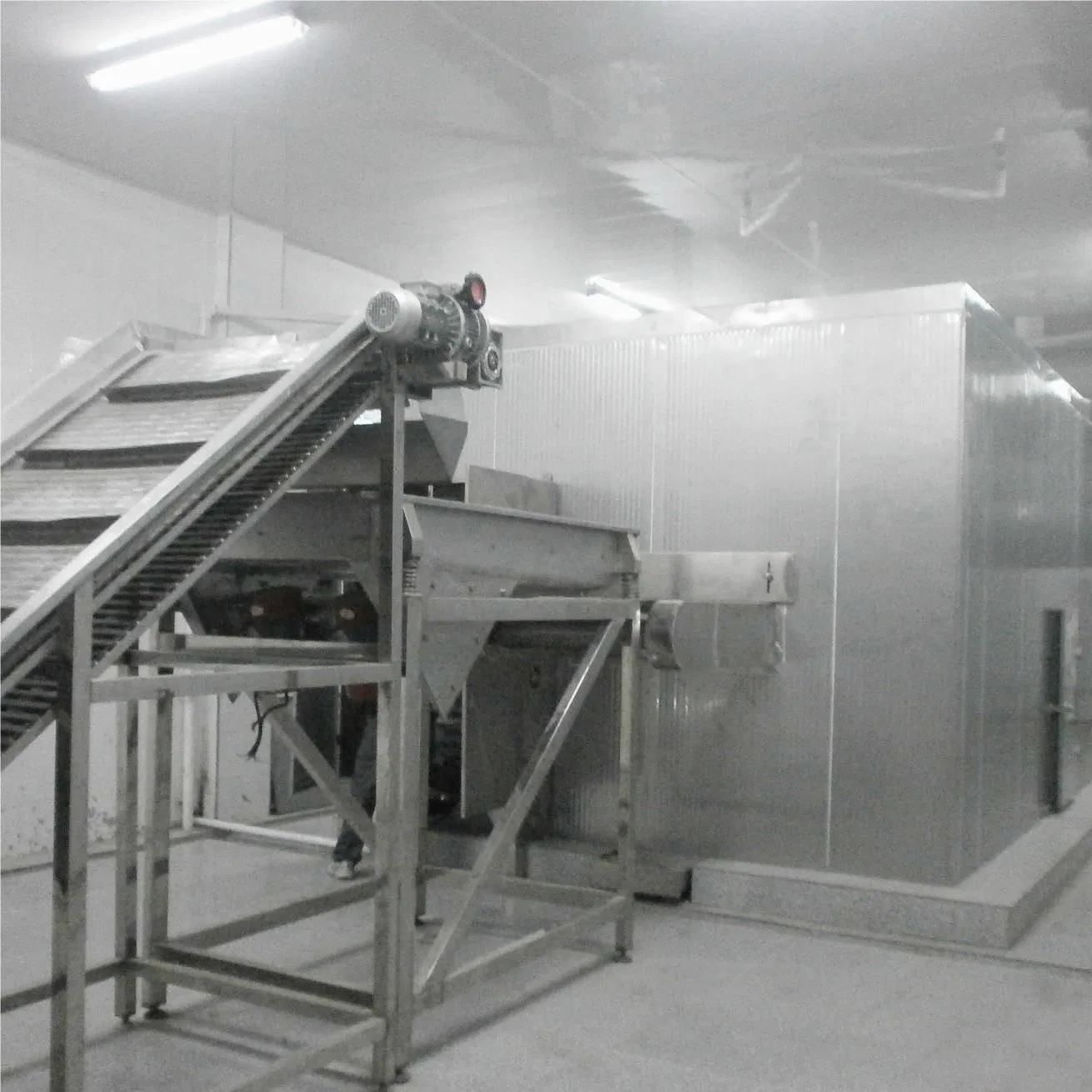 Automatic Fluidized Bed Freezing Equipment with CIP System for Food Industry | Manufacturer Direct