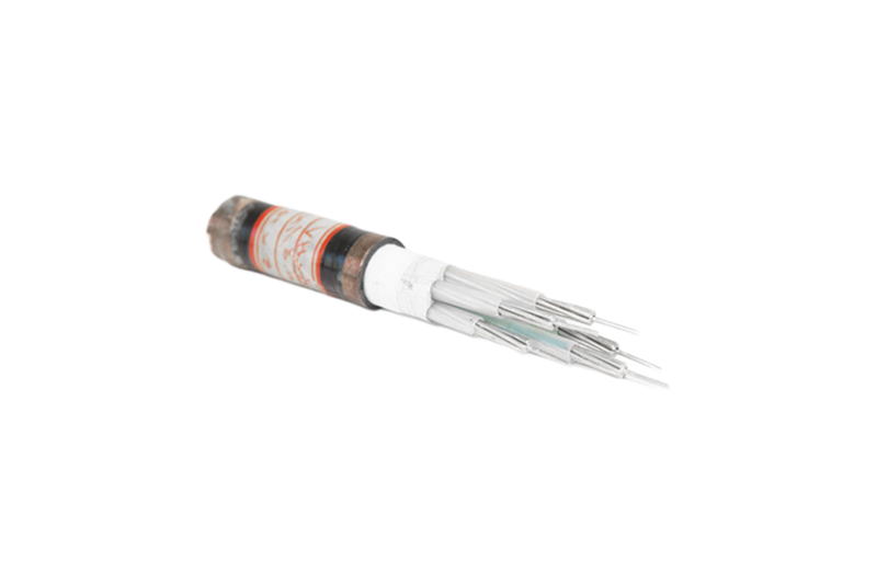 Bulk Supply of AGRP Model Power Cables for Construction and Industrial Applications