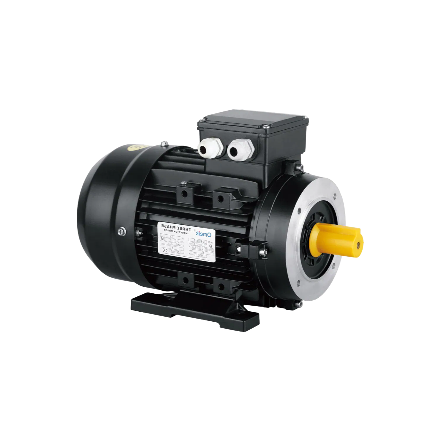 Customizable MS Series Electric Motors with EFF2/EFF1 Efficiency for Factory Automation