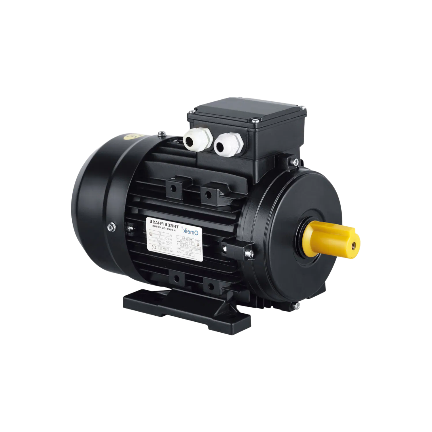 Customizable MS Series Electric Motors with EFF2/EFF1 Efficiency for Factory Automation