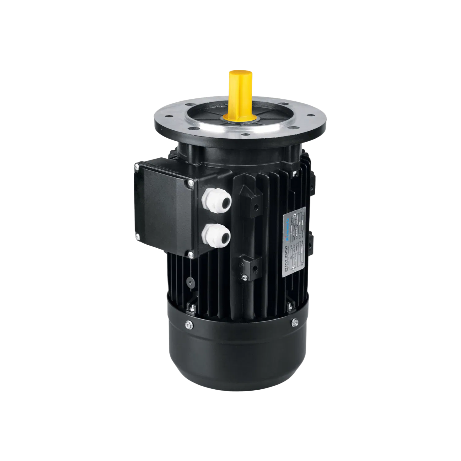 Customizable MS Series Electric Motors with EFF2/EFF1 Efficiency for Factory Automation