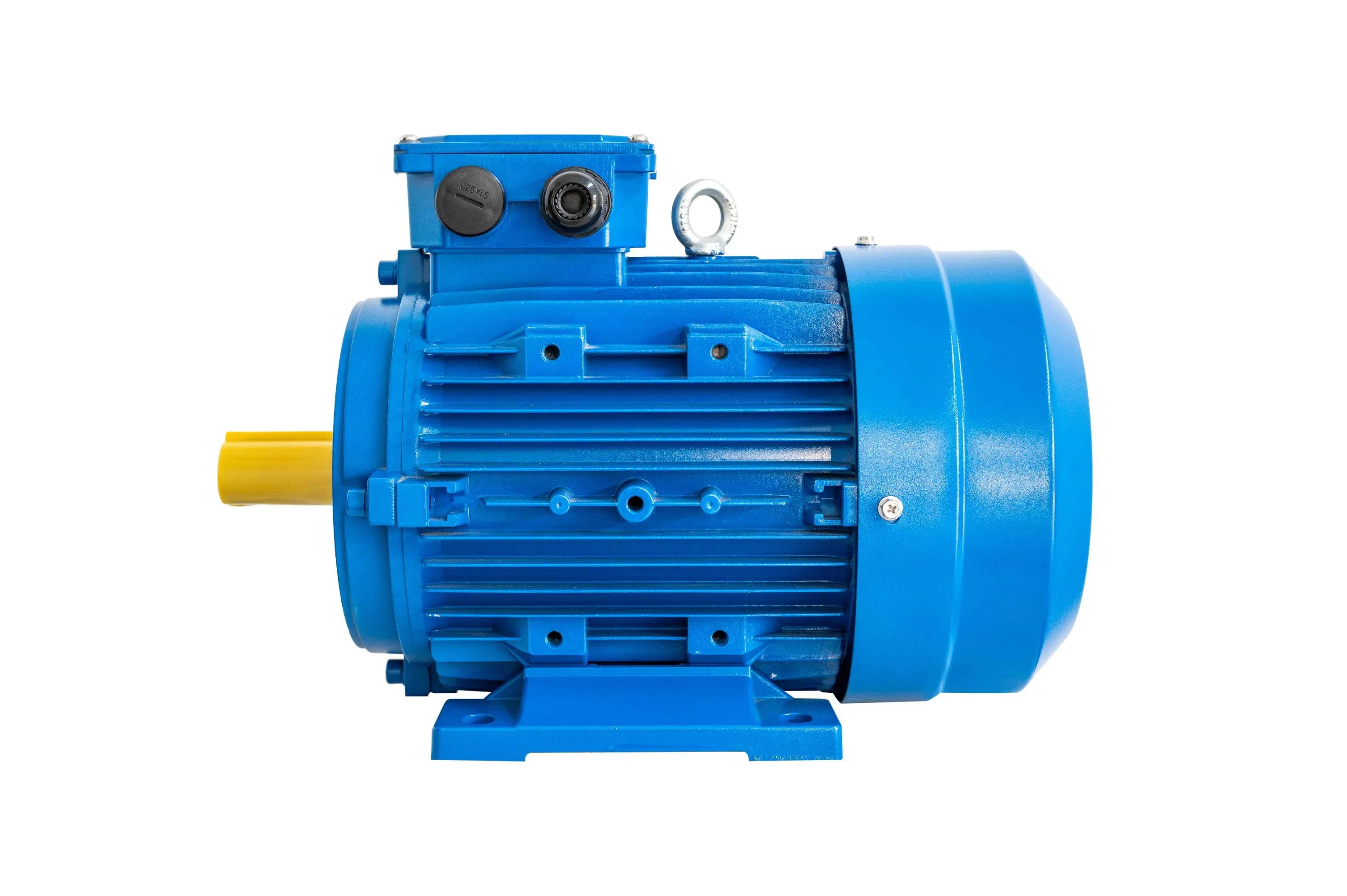 High Efficiency Multi-Speed Three Phase Induction Motor with Cast Iron/Aluminum Shell