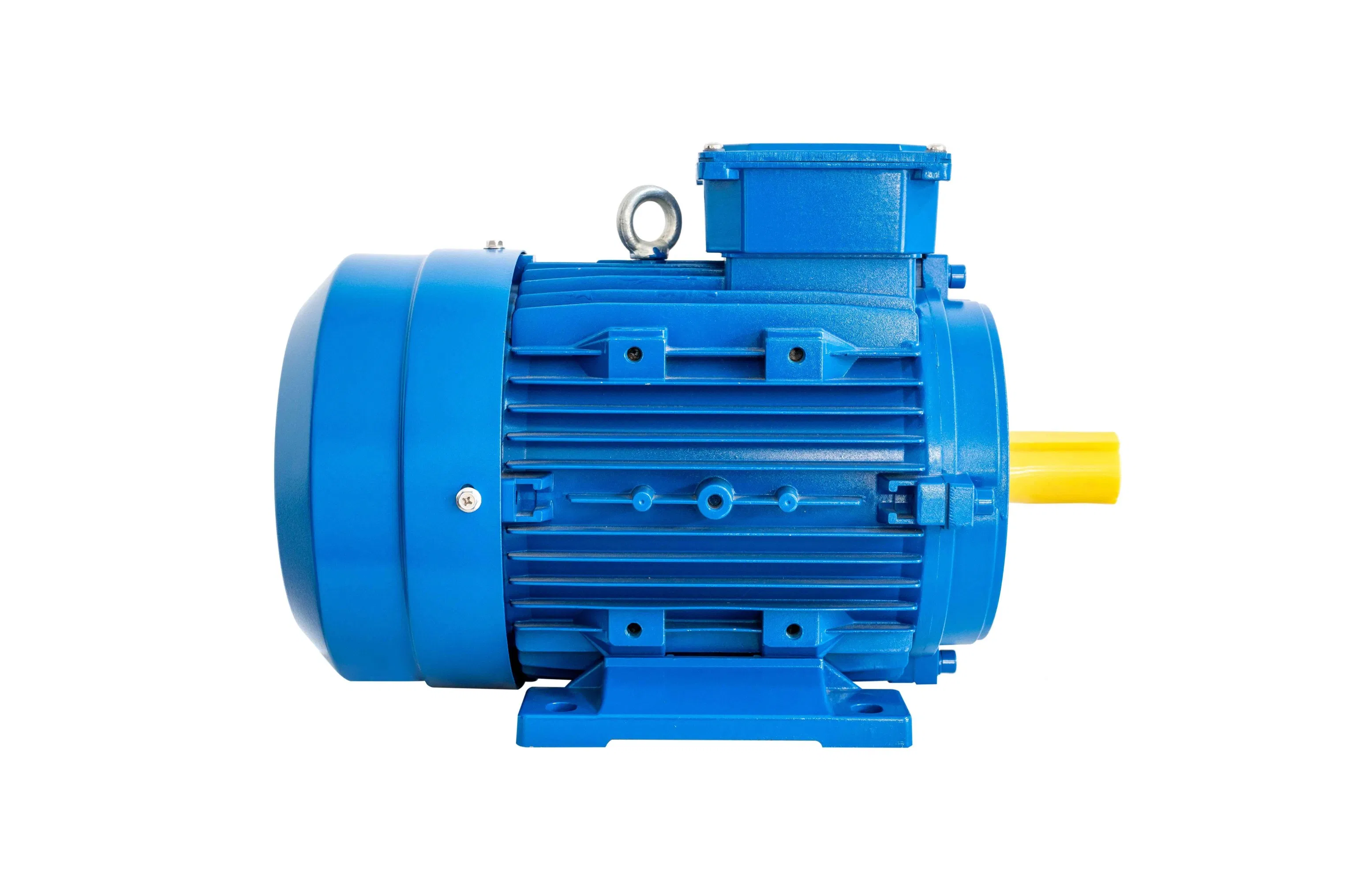 High Efficiency Multi-Speed Three Phase Induction Motor with Cast Iron/Aluminum Shell