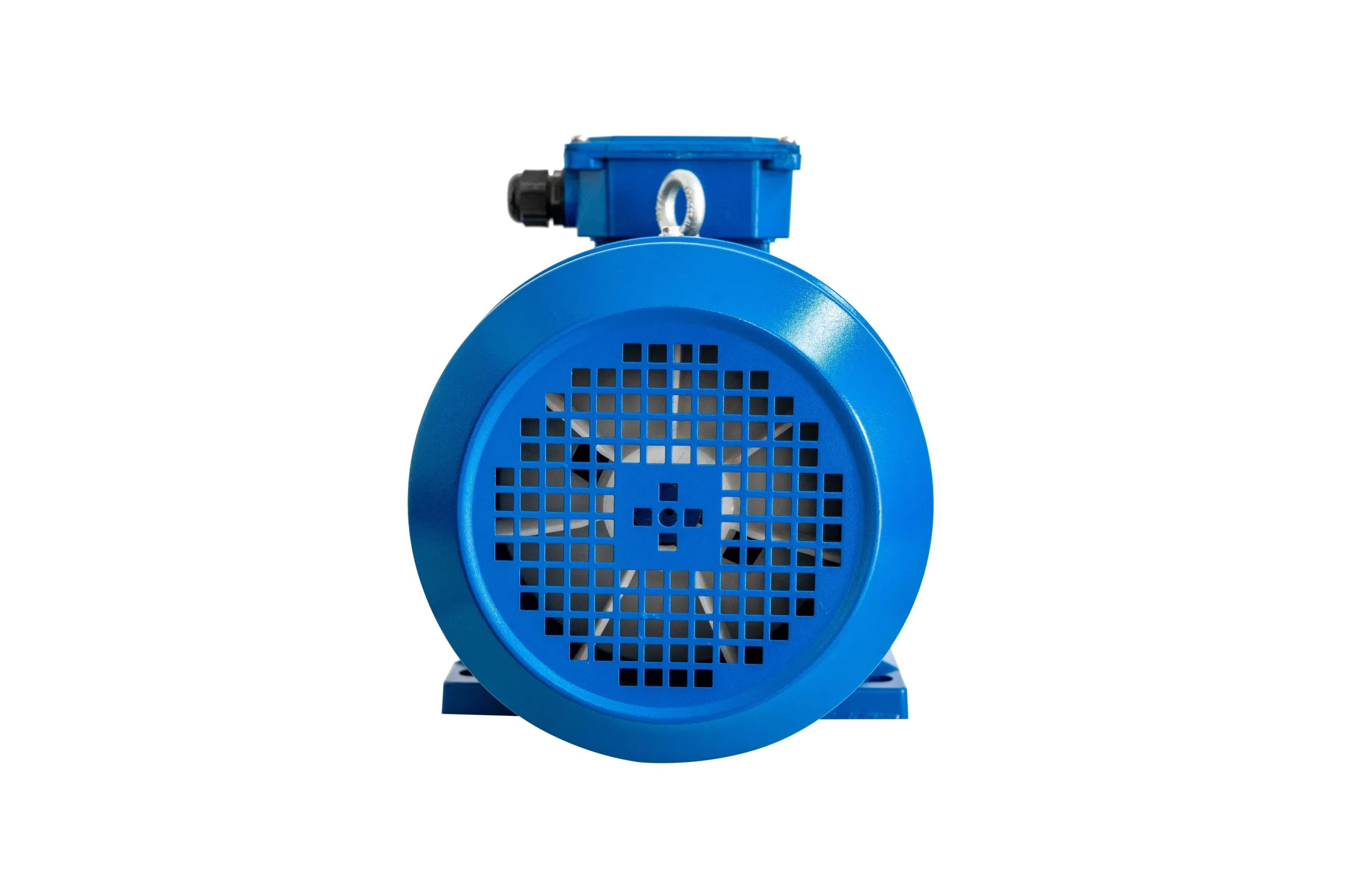 High Efficiency Multi-Speed Three Phase Induction Motor with Cast Iron/Aluminum Shell
