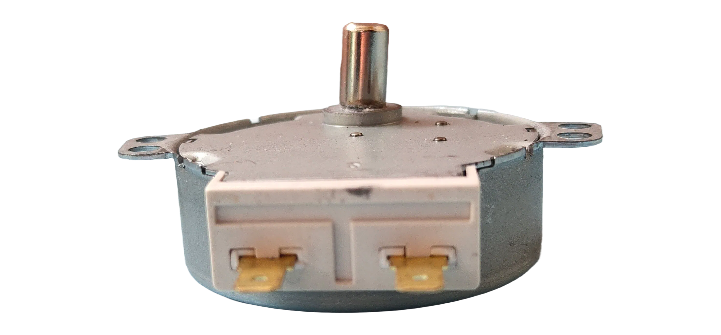 220V 50Hz Micro Synchronous Electric Motor with 0.5kgf.cm Torque for Power Tools