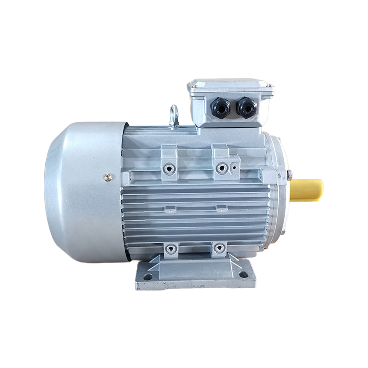 Factory Direct Supply Y2-112M-4 Three-Phase Asynchronous Motor 380V 50Hz