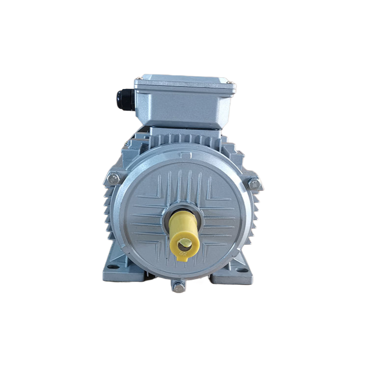 Factory Direct Supply Y2-112M-4 Three-Phase Asynchronous Motor 380V 50Hz