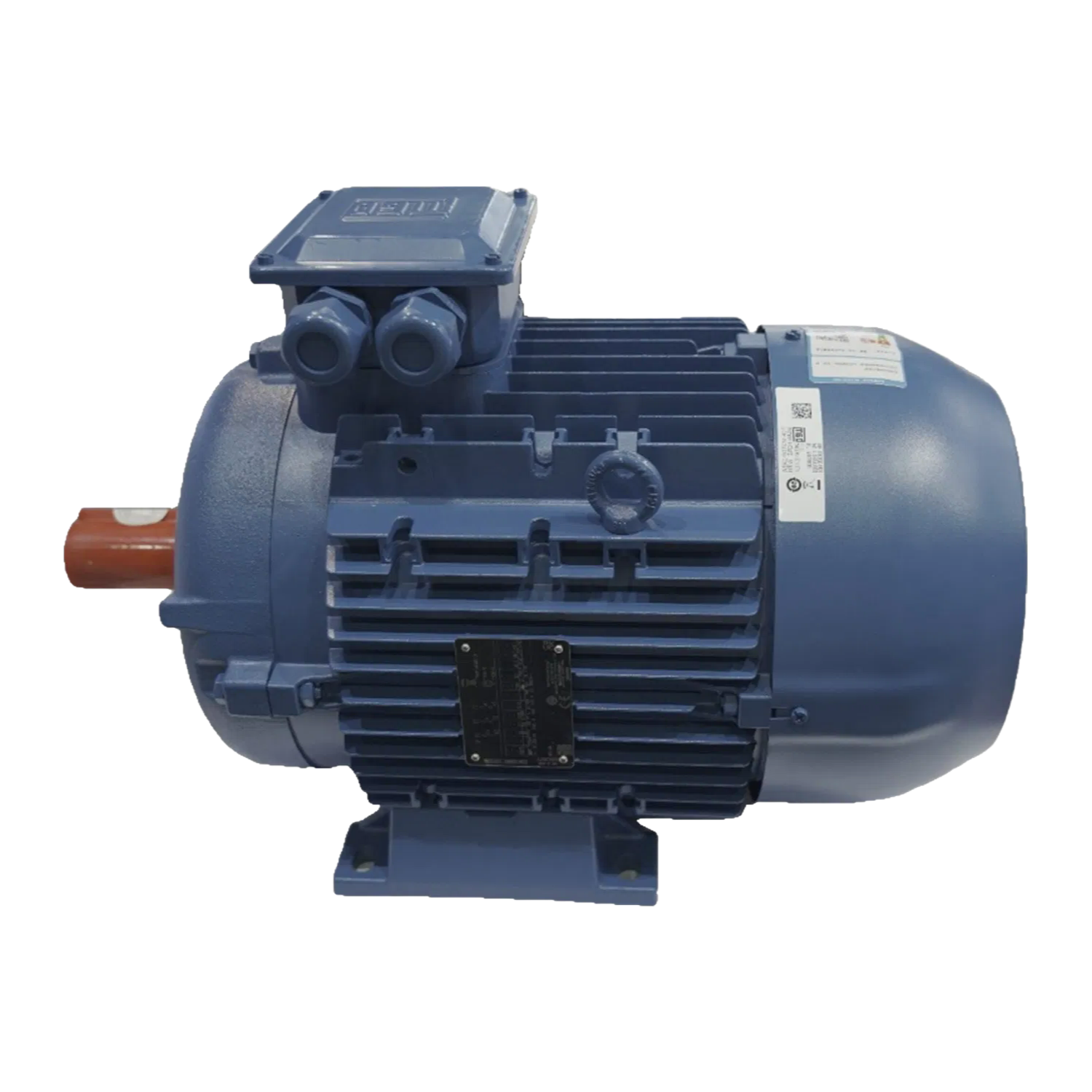 WEG W20 Motors with IP54/IP55 Protection and Multiple Pole Options for Industrial Applications