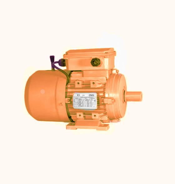 MSB Series Brake Motors - Industrial Three-Phase Asynchronous Motors with DC Brake Unit