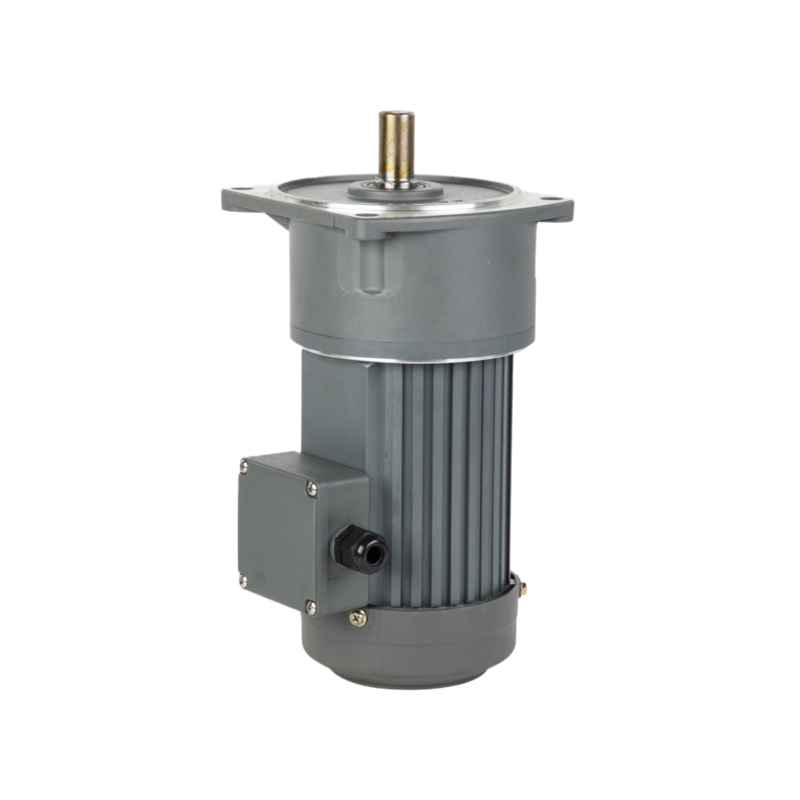 High-Torque AC Gear Motor with Hard-Toothed Surface and Coaxial Layout