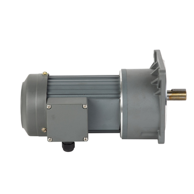 High-Torque AC Gear Motor with Hard-Toothed Surface and Coaxial Layout