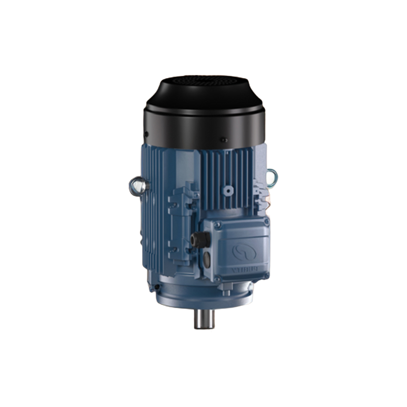 Customizable High-Speed YE3 Asynchronous Motor with NSK Bearings and ISO9001 Certified