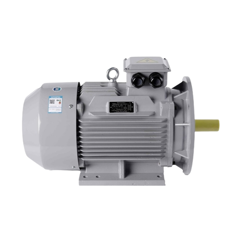 B5 Mounting Three-Phase Asynchronous Motor 50Hz 220V/380V IP55 Protection Industrial Motor