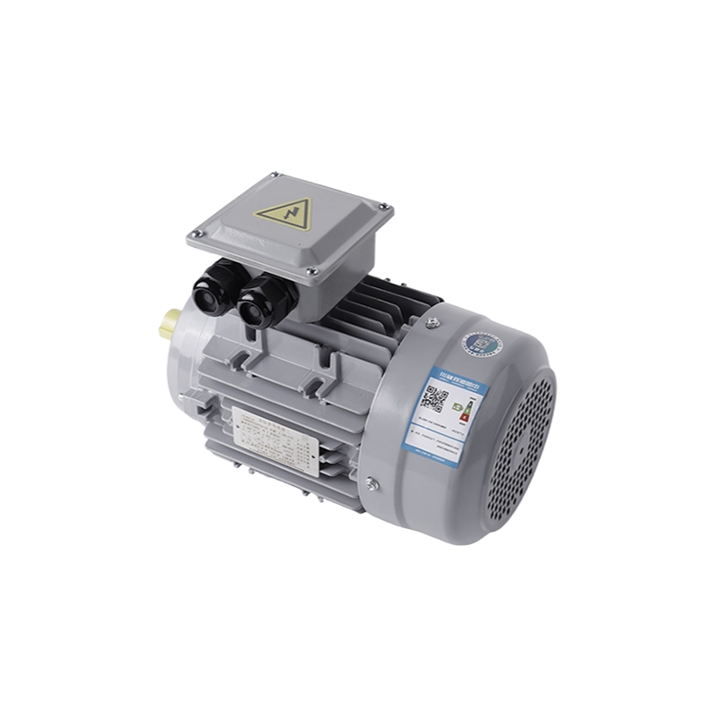 B5 Mounting Three-Phase Asynchronous Motor 50Hz 220V/380V IP55 Protection Industrial Motor