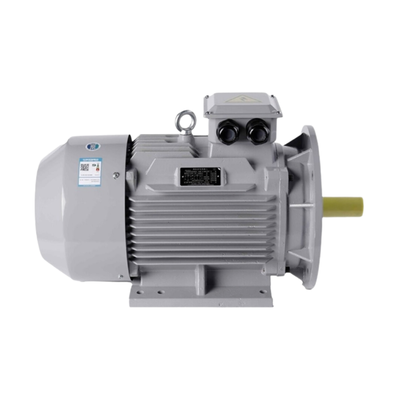 B5 Mounting Three-Phase Asynchronous Motor 50Hz 220V/380V IP55 Protection Industrial Motor