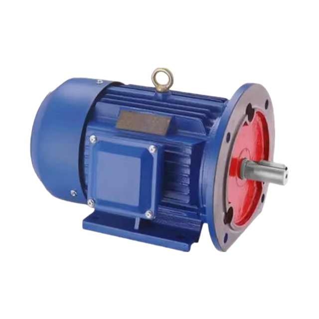 Customizable IP55 Protection Three-Phase Asynchronous Electric Motor with 100% Copper Winding