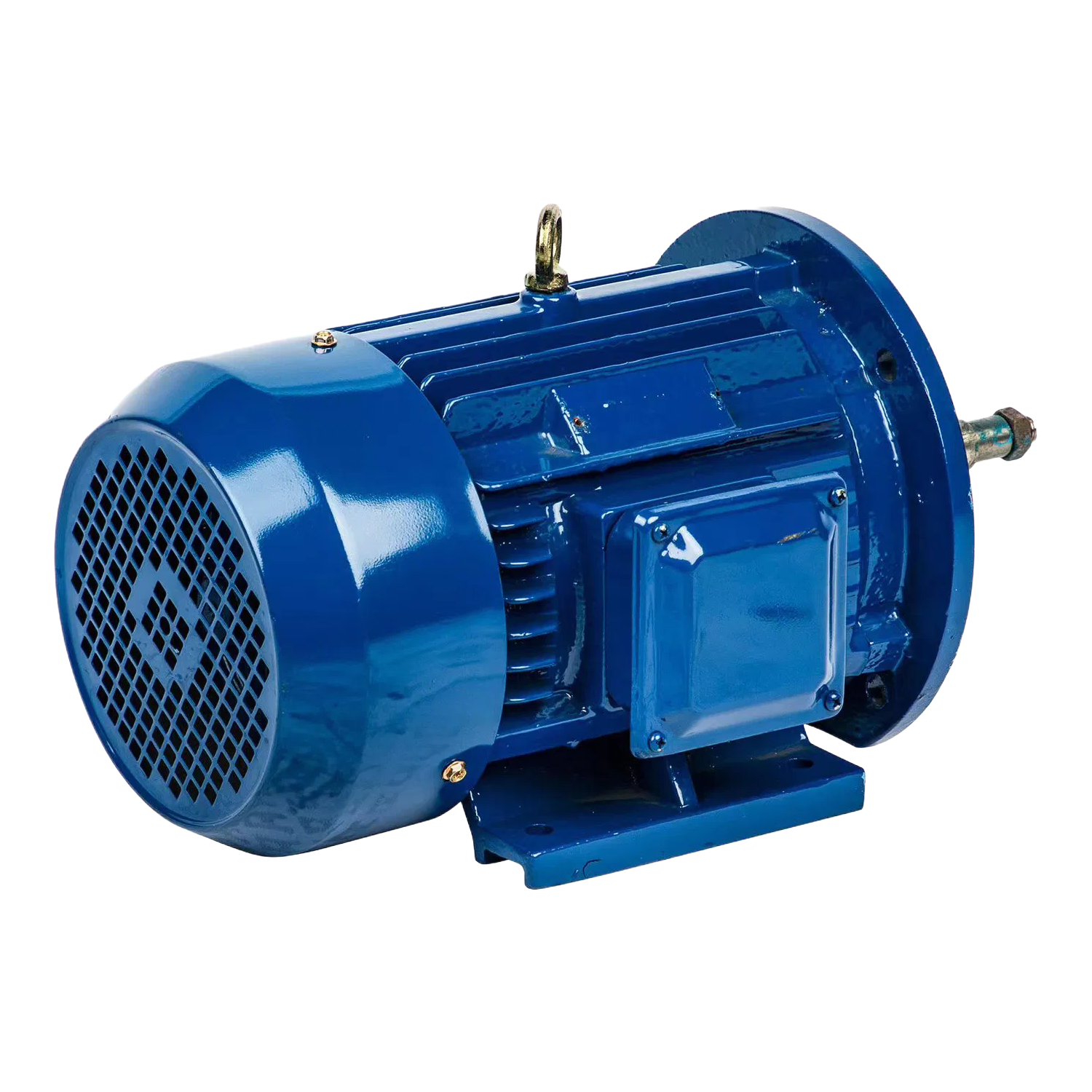 Customizable IP55 Protection Three-Phase Asynchronous Electric Motor with 100% Copper Winding