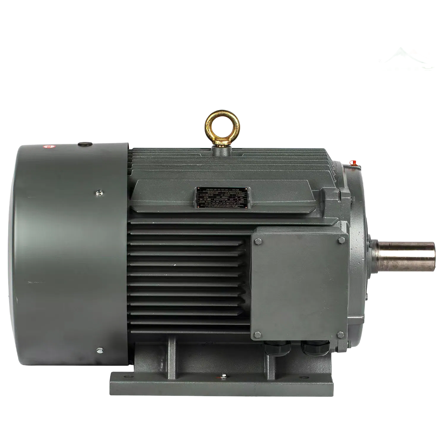 Customizable IP55 Protection Three-Phase Asynchronous Electric Motor with 100% Copper Winding