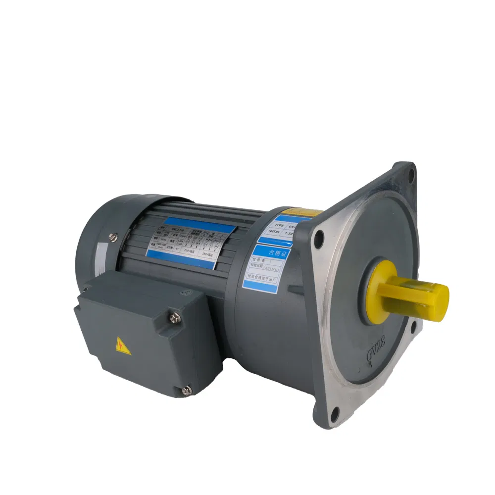 GV Type Industrial Three-Phase High Speed Motor for Driving Applications with ISO9001 Certification
