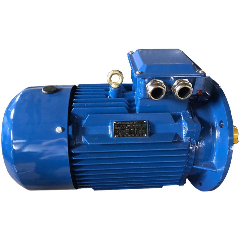 Industrial Grade 2/4 Pole Induction Motors with y-δ Starting and Cast Iron Housing