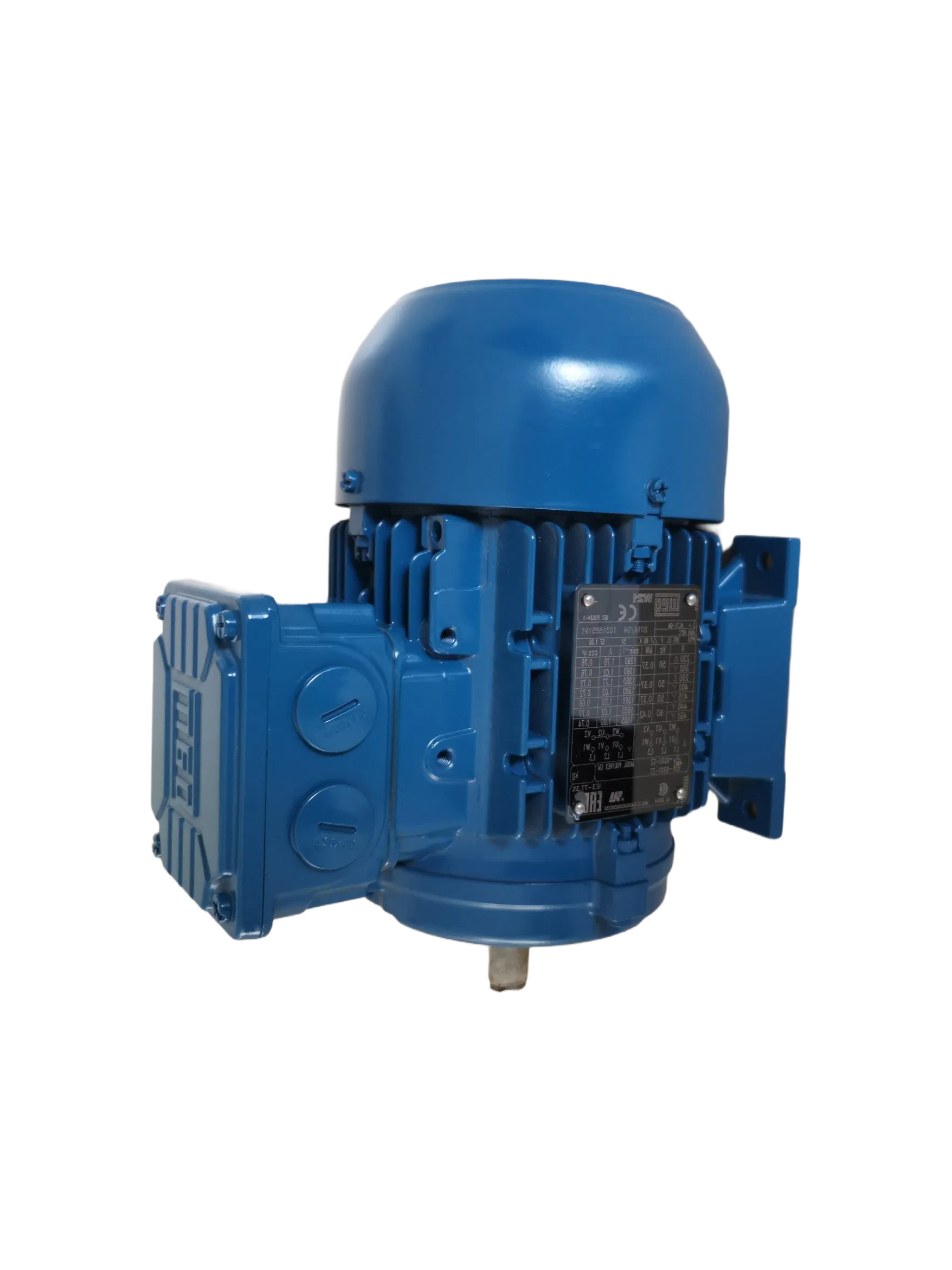 F Class Insulation IP21S Protected Electric Motors for Harsh Industrial Environments