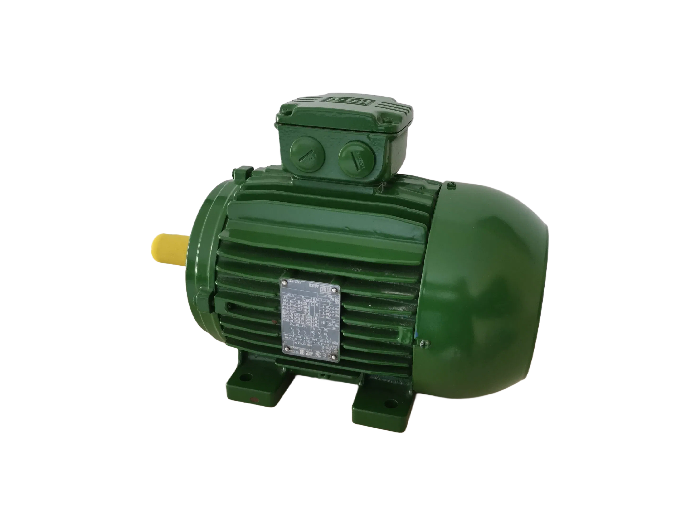 F Class Insulation IP21S Protected Electric Motors for Harsh Industrial Environments