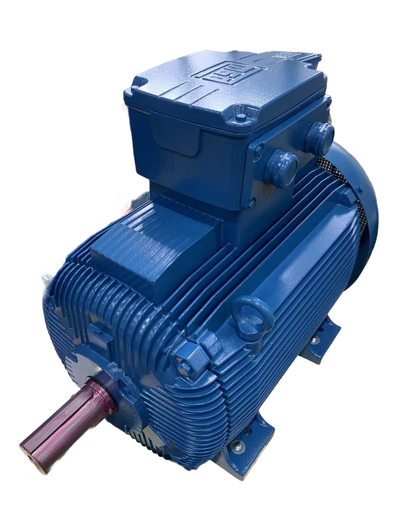 F Class Insulation IP21S Protected Electric Motors for Harsh Industrial Environments