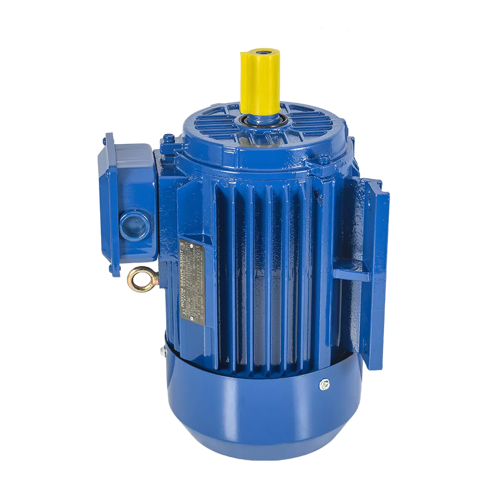 Premium Cast Iron Three Phase Induction Motor with Copper Winding YE2 Model