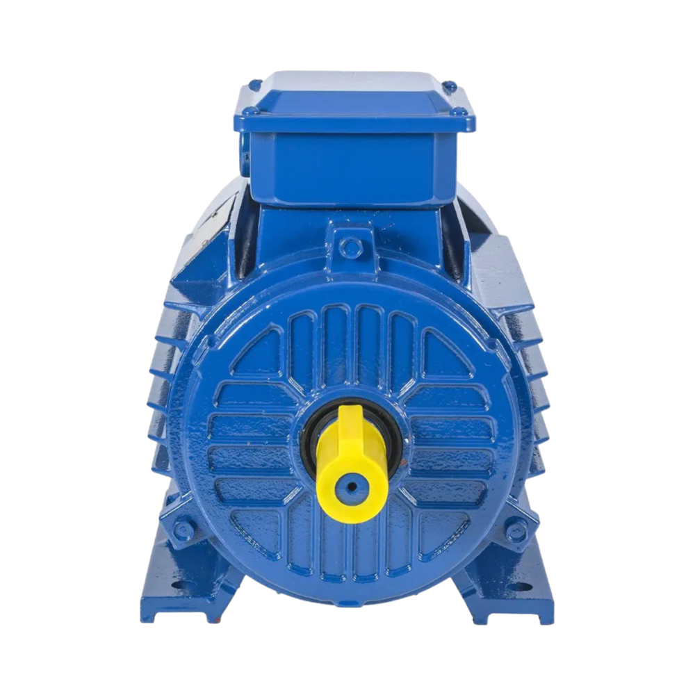 Premium Cast Iron Three Phase Induction Motor with Copper Winding YE2 Model