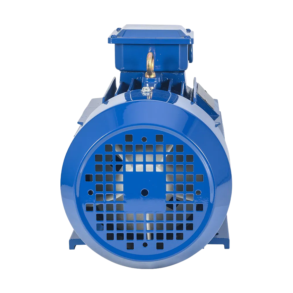 Premium Cast Iron Three Phase Induction Motor with Copper Winding YE2 Model