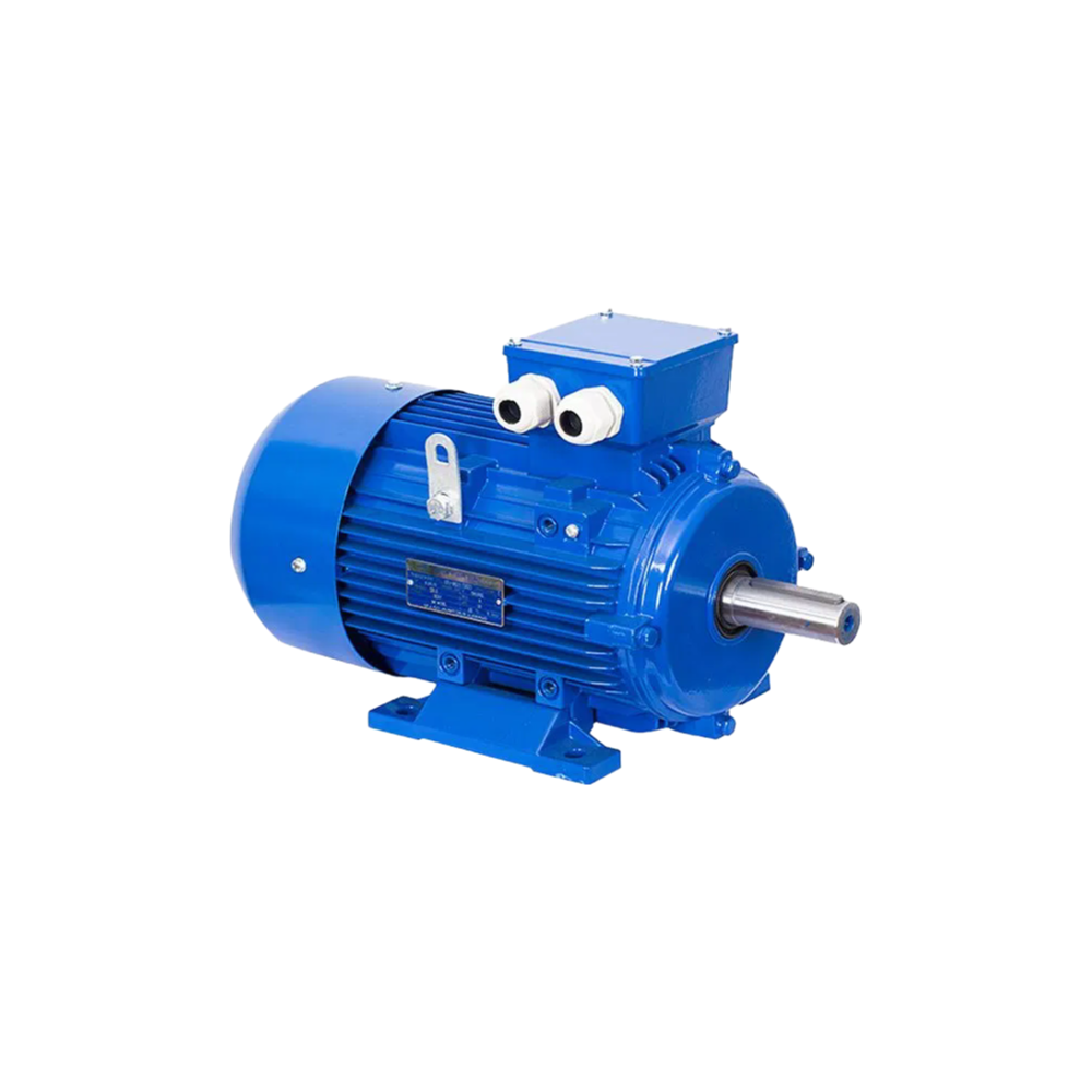 Reliable 110V/220V/380V Asynchronous Motor for Pumps Fans and Conveyors - Factory Direct
