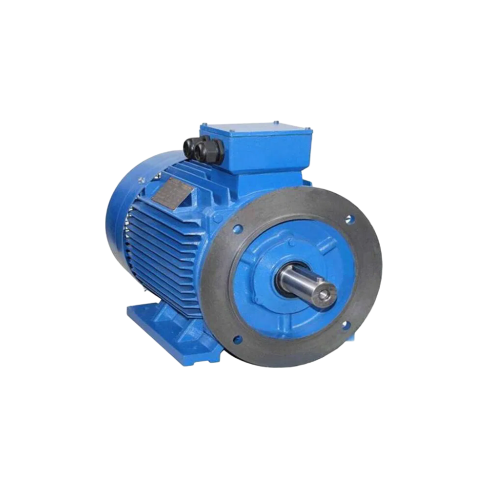 Reliable 110V/220V/380V Asynchronous Motor for Pumps Fans and Conveyors - Factory Direct