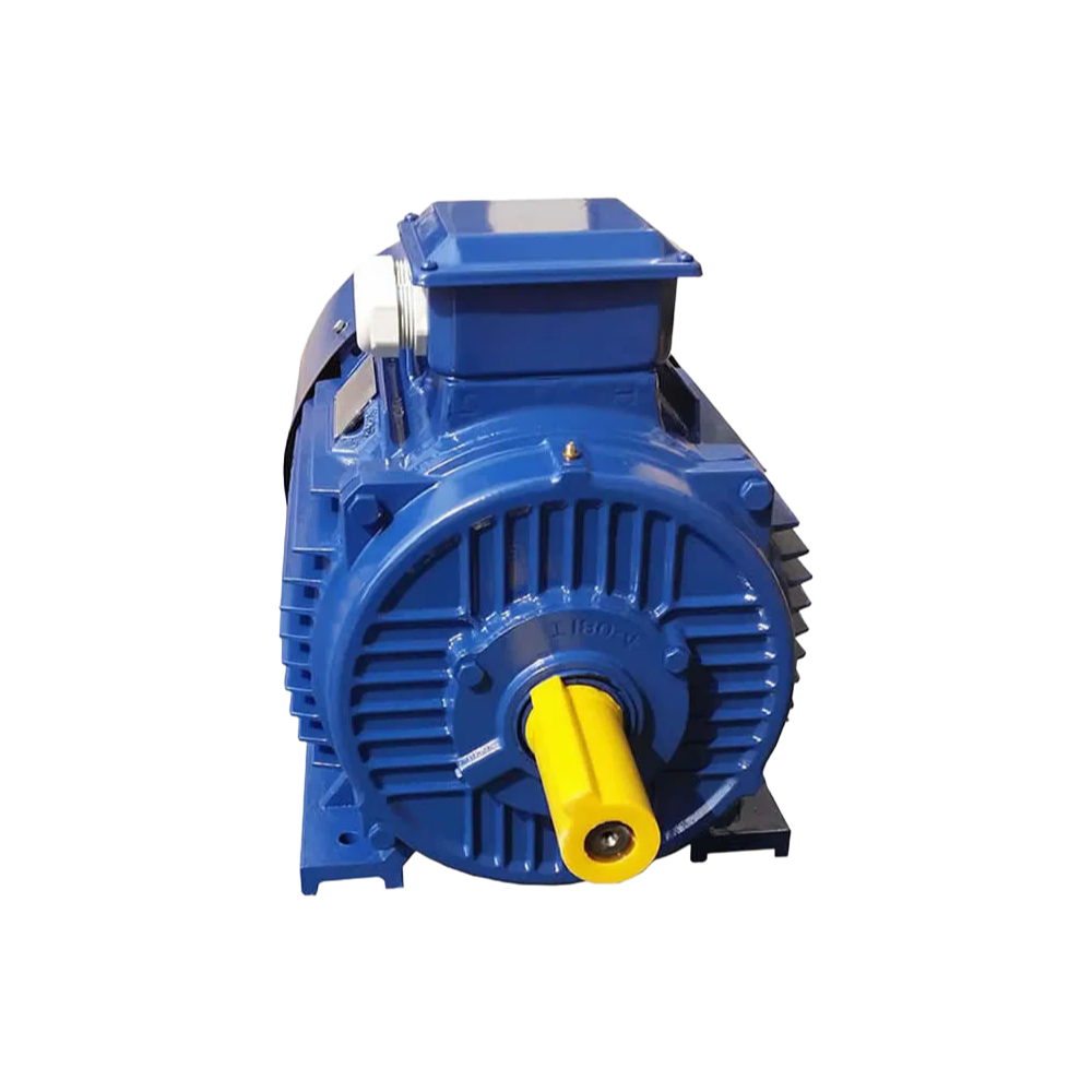 8 Pole Three Phase Electric Motor with Variable Frequency Starting for General Machinery