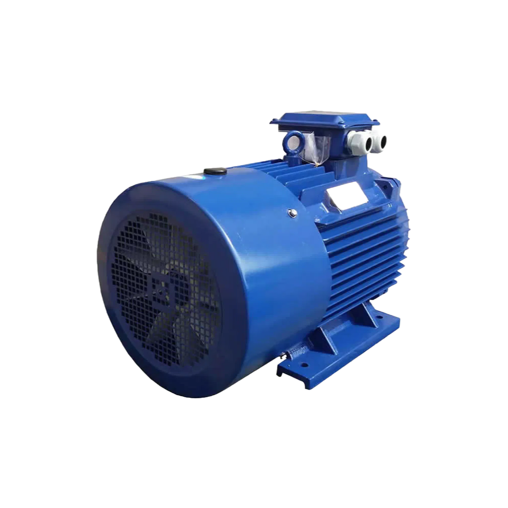 8 Pole Three Phase Electric Motor with Variable Frequency Starting for General Machinery